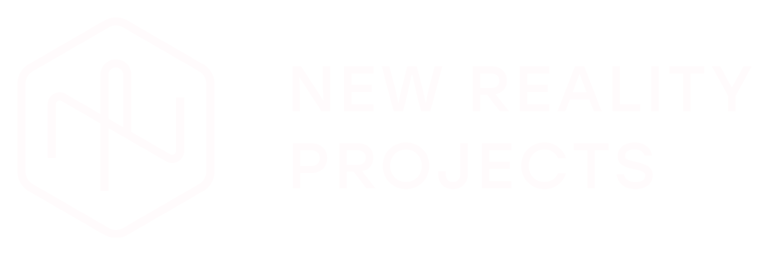 New Reality Projects
